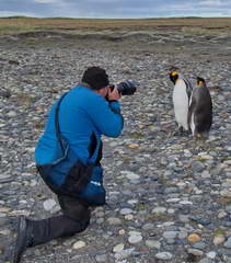 Fotos Pinguin